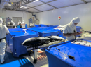 Employees of Coastal Catch's (Tunart)